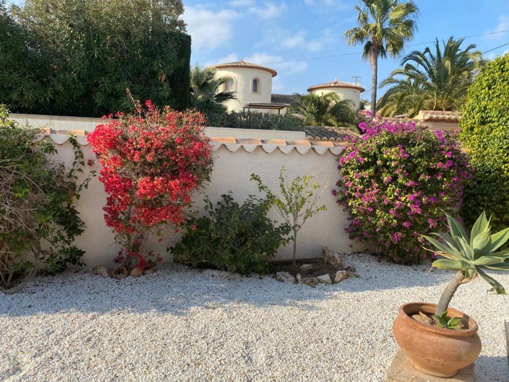 The Villa Calp
