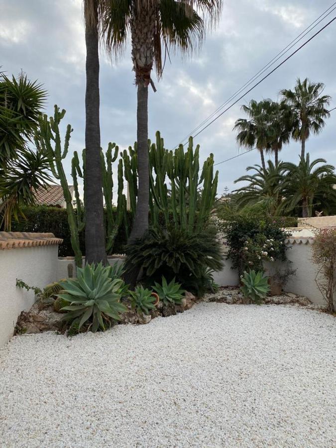 The * Calp